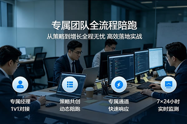 AI搜索引擎优化团队